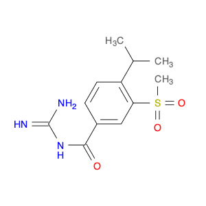 Benzamide, N-(aminoiminomethyl)-4-(1-methylethyl)-3-(methylsulfonyl)-