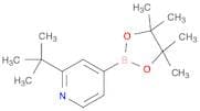Pyridine, 2-(1,1-dimethylethyl)-4-(4,4,5,5-tetramethyl-1,3,2-dioxaborolan-2-yl)-