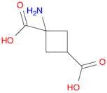 1-aminocyclobutane-1,3-dicarboxylic acid