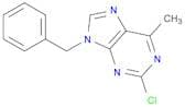 9H-Purine, 2-chloro-6-methyl-9-(phenylmethyl)-