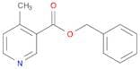 Benzyl 4-methylnicotinate