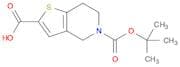 Thieno[3,2-c]pyridine-2,5(4H)-dicarboxylic acid, 6,7-dihydro-, 5-(1,1-dimethylethyl) ester