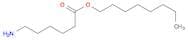 Hexanoic acid, 6-amino-, octyl ester