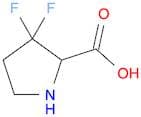 3,3-difluoropyrrolidine-2-carboxylic acid