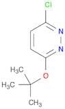 Pyridazine, 3-chloro-6-(1,1-dimethylethoxy)-