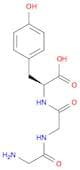 L-Tyrosine, glycylglycyl-