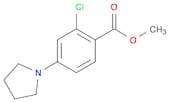 Methyl 2-chloro-4-(1-pyrrolidinyl)-benzenecarboxylate