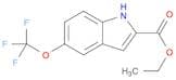 1H-Indole-2-carboxylic acid, 5-(trifluoromethoxy)-, ethyl ester