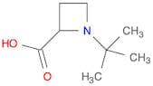1-(tert-Butyl)azetidine-2-carboxylic acid