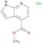 Methyl 1H-pyrrolo[2,3-b]pyridine-4-carboxylate hydrochloride