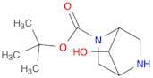 2,5-Diazabicyclo[2.2.1]heptane-2-carboxylic acid, 7-hydroxy-, 1,1-dimethylethyl ester