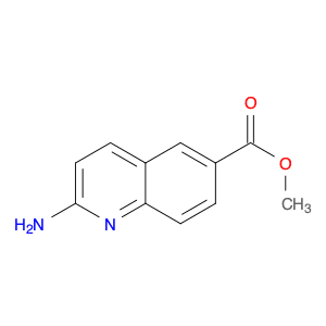 6-Quinolinecarboxylic acid, 2-amino-, methyl ester