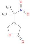 2(3H)-Furanone, dihydro-4-(1-methyl-1-nitroethyl)-