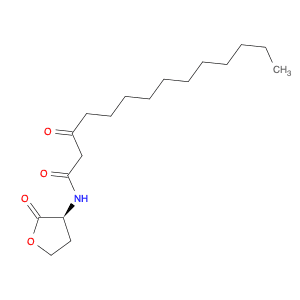 N-(3-Oxotetradecanoyl)-L-homoserine  lactone