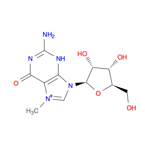 Guanosine, 7-​methyl-