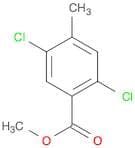 Benzoic acid, 2,5-dichloro-4-methyl-, methyl ester