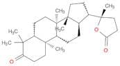 18-Norcholan-24-oic acid, 20-hydroxy-4,4,8,14-tetramethyl-3-oxo-, γ-lactone, (5α)-