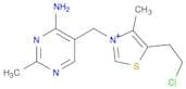 Thiazolium, 3-[(4-amino-2-methyl-5-pyrimidinyl)methyl]-5-(2-chloroethyl)-4-methyl-