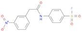 Benzenesulfonyl fluoride, 4-[[2-(3-nitrophenyl)acetyl]amino]-