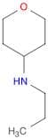 Propyl-(tetrahydro-pyran-4-yl)-amine