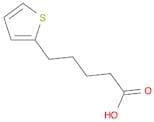 2-Thiophenepentanoic acid
