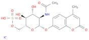 4-Methylumbelliferyl 6-Sulfo-2-acetamido-2-deoxy-b-D-glucopyranoside Potassium Salt