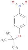 1-(tert-Butoxy)-4-nitrobenzene