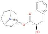(R)-Endo-8-methyl-8-azabicyclo[3.2.1]octan-3-yl 2-hydroxy-3-phenylpropanoate