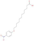 Dodecanoic acid, 12-(4-nitrophenoxy)-
