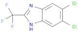 5,6-Dichloro-2-(trifluoromethyl)-1h-benzimidazole