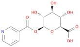 Nicotinic Acid Acyl-b-D-glucuronide