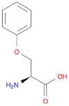 O-Phenyl-L-serine