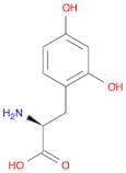 (S)-2-Amino-3-(2,4-dihydroxyphenyl)propanoic acid