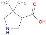3-Pyrrolidinecarboxylic acid, 4,4-dimethyl-