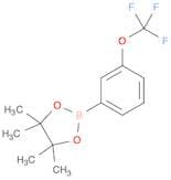 3-Trifluoromethoxyphenylboronic acid, pinacol ester