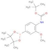 tert-Butyl (2-methoxy-4-(4,4,5,5-tetramethyl-1,3,2-dioxaborolan-2-yl)phenyl);carbamate