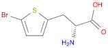 2-Thiophenepropanoic acid, α-amino-5-bromo-, (αR)-