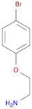 1-(2-Aminoethoxy)-4-bromobenzene