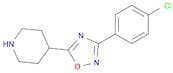 4-[3-(4-chlorophenyl)-1,2,4-oxadiazol-5-yl]piperidine