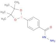 Benzoic acid, 4-(4,4,5,5-tetramethyl-1,3,2-dioxaborolan-2-yl)-, hydrazide