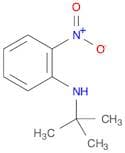 N-tert-Butyl-2-nitroaniline