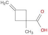 1-Methyl-3-methylidenecyclobutane-1-carboxylic acid