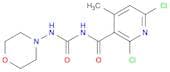 3-Pyridinecarboxamide, 2,6-dichloro-4-methyl-N-[(4-morpholinylamino)carbonyl]-