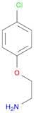 2-(4-Chlorophenoxy)ethanamine