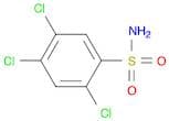 2,4,5-trichlorobenzene-1-sulfonamide