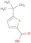2-Thiophenecarboxylic acid, 5-(1,1-dimethylethyl)-