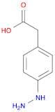 2-(4-Hydrazinylphenyl)acetic acid