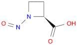 2-Azetidinecarboxylic acid, 1-nitroso-, (2S)-