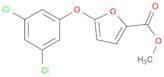 Methyl 5-(3,5-Dichlorophenoxy)-2-furoate