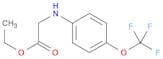 ETHYL 2-[4-(TRIFLUOROMETHOXY)ANILINO]ACETATE